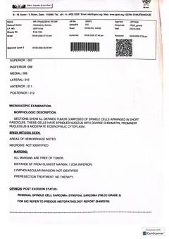 Histopathology: wide excision B/7391/2026, page 2